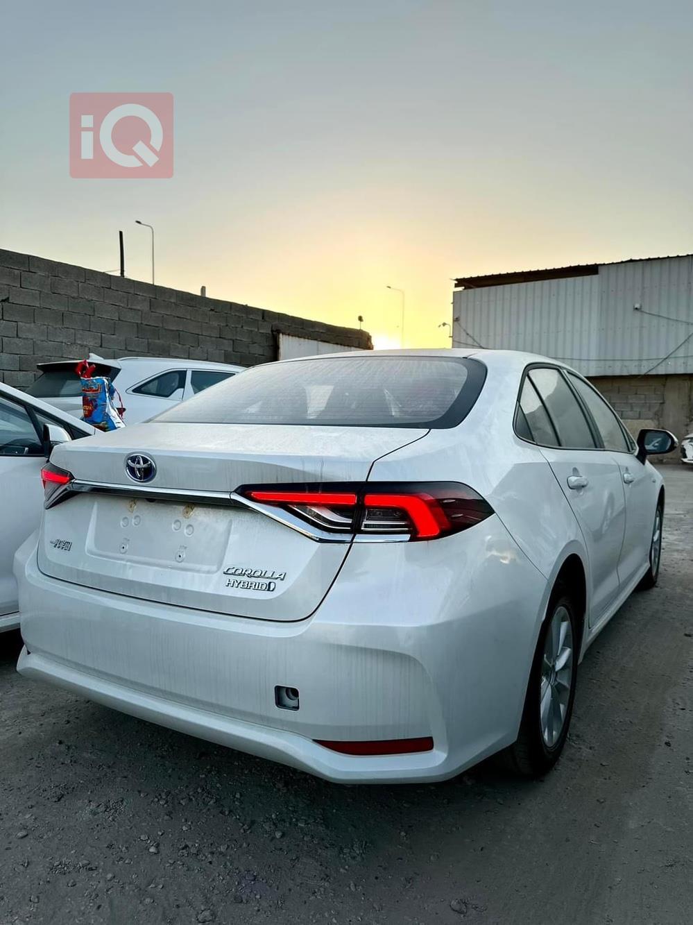 تويوتا كورولا